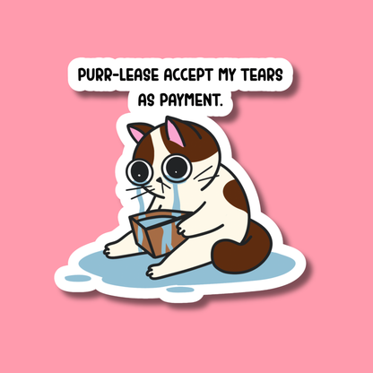 Purr-sonal Finance Tragedy